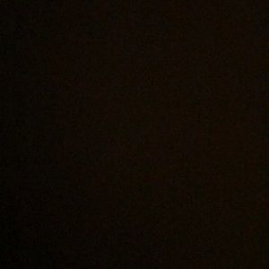 Meet your Posher, Omayra